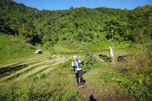 BIB: 
                            <button type="button" onclick="openModal(19071855)" class="btn btn-primary btn-sm float-right btn-popup" data-toggle="modal" data-target=".modal-high-quality">
                        <i class="fas fa-shopping-cart"></i> Add to Cart
                    </button>
                                            <button type="button" onclick="isThisMe(19071855, true)" class="btn btn-success btn-sm float-right btn-popup btn-isme hidden" data-toggle="tooltip" data-placement="bottom" title="นี่คือรูปของคุณใช่ไหม คลิกที่นี่เพื่อเอาเข้าอัลบั้ม">
                        <i class="fas fa-plus"></i> Add to album
                    </button>
                    <button type="button" onclick="isThisMe(19071855, false)" class="btn btn-warning btn-sm float-right btn-popup btn-isnotme hidden">
                        <i class="fas fa-ban"></i> Remove from album
                    </button>