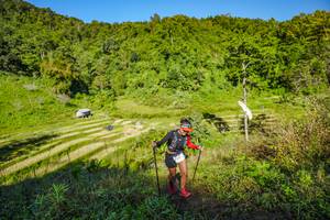 BIB: 
                            <button type="button" onclick="openModal(19350041)" class="btn btn-primary btn-sm float-right btn-popup" data-toggle="modal" data-target=".modal-high-quality">
                        <i class="fas fa-shopping-cart"></i> Add to Cart
                    </button>
                                            <button type="button" onclick="isThisMe(19350041, true)" class="btn btn-success btn-sm float-right btn-popup btn-isme hidden" data-toggle="tooltip" data-placement="bottom" title="นี่คือรูปของคุณใช่ไหม คลิกที่นี่เพื่อเอาเข้าอัลบั้ม">
                        <i class="fas fa-plus"></i> Add to album
                    </button>
                    <button type="button" onclick="isThisMe(19350041, false)" class="btn btn-warning btn-sm float-right btn-popup btn-isnotme hidden">
                        <i class="fas fa-ban"></i> Remove from album
                    </button>