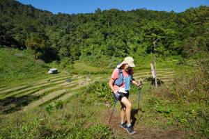 BIB: 
                            <button type="button" onclick="openModal(19095744)" class="btn btn-primary btn-sm float-right btn-popup" data-toggle="modal" data-target=".modal-high-quality">
                        <i class="fas fa-shopping-cart"></i> Add to Cart
                    </button>
                                            <button type="button" onclick="isThisMe(19095744, true)" class="btn btn-success btn-sm float-right btn-popup btn-isme hidden" data-toggle="tooltip" data-placement="bottom" title="นี่คือรูปของคุณใช่ไหม คลิกที่นี่เพื่อเอาเข้าอัลบั้ม">
                        <i class="fas fa-plus"></i> Add to album
                    </button>
                    <button type="button" onclick="isThisMe(19095744, false)" class="btn btn-warning btn-sm float-right btn-popup btn-isnotme hidden">
                        <i class="fas fa-ban"></i> Remove from album
                    </button>