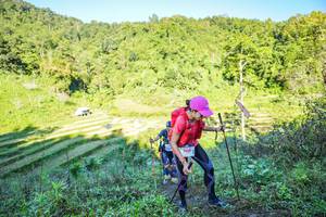 BIB: 7438
                            <button type="button" onclick="openModal(19348778)" class="btn btn-primary btn-sm float-right btn-popup" data-toggle="modal" data-target=".modal-high-quality">
                        <i class="fas fa-shopping-cart"></i> Add to Cart
                    </button>
                                            <button type="button" onclick="isThisMe(19348778, true)" class="btn btn-success btn-sm float-right btn-popup btn-isme hidden" data-toggle="tooltip" data-placement="bottom" title="นี่คือรูปของคุณใช่ไหม คลิกที่นี่เพื่อเอาเข้าอัลบั้ม">
                        <i class="fas fa-plus"></i> Add to album
                    </button>
                    <button type="button" onclick="isThisMe(19348778, false)" class="btn btn-warning btn-sm float-right btn-popup btn-isnotme hidden">
                        <i class="fas fa-ban"></i> Remove from album
                    </button>