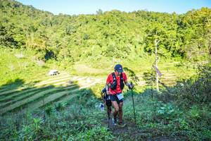 BIB: 
                            <button type="button" onclick="openModal(19348502)" class="btn btn-primary btn-sm float-right btn-popup" data-toggle="modal" data-target=".modal-high-quality">
                        <i class="fas fa-shopping-cart"></i> Add to Cart
                    </button>
                                            <button type="button" onclick="isThisMe(19348502, true)" class="btn btn-success btn-sm float-right btn-popup btn-isme hidden" data-toggle="tooltip" data-placement="bottom" title="นี่คือรูปของคุณใช่ไหม คลิกที่นี่เพื่อเอาเข้าอัลบั้ม">
                        <i class="fas fa-plus"></i> Add to album
                    </button>
                    <button type="button" onclick="isThisMe(19348502, false)" class="btn btn-warning btn-sm float-right btn-popup btn-isnotme hidden">
                        <i class="fas fa-ban"></i> Remove from album
                    </button>