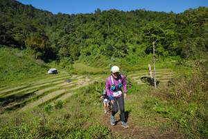 BIB: 
                            <button type="button" onclick="openModal(19089137)" class="btn btn-primary btn-sm float-right btn-popup" data-toggle="modal" data-target=".modal-high-quality">
                        <i class="fas fa-shopping-cart"></i> Add to Cart
                    </button>
                                            <button type="button" onclick="isThisMe(19089137, true)" class="btn btn-success btn-sm float-right btn-popup btn-isme hidden" data-toggle="tooltip" data-placement="bottom" title="นี่คือรูปของคุณใช่ไหม คลิกที่นี่เพื่อเอาเข้าอัลบั้ม">
                        <i class="fas fa-plus"></i> Add to album
                    </button>
                    <button type="button" onclick="isThisMe(19089137, false)" class="btn btn-warning btn-sm float-right btn-popup btn-isnotme hidden">
                        <i class="fas fa-ban"></i> Remove from album
                    </button>