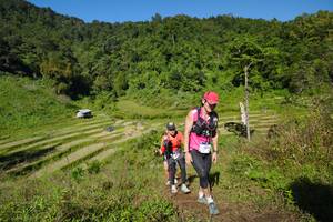 BIB: 
                            <button type="button" onclick="openModal(19088392)" class="btn btn-primary btn-sm float-right btn-popup" data-toggle="modal" data-target=".modal-high-quality">
                        <i class="fas fa-shopping-cart"></i> Add to Cart
                    </button>
                                            <button type="button" onclick="isThisMe(19088392, true)" class="btn btn-success btn-sm float-right btn-popup btn-isme hidden" data-toggle="tooltip" data-placement="bottom" title="นี่คือรูปของคุณใช่ไหม คลิกที่นี่เพื่อเอาเข้าอัลบั้ม">
                        <i class="fas fa-plus"></i> Add to album
                    </button>
                    <button type="button" onclick="isThisMe(19088392, false)" class="btn btn-warning btn-sm float-right btn-popup btn-isnotme hidden">
                        <i class="fas fa-ban"></i> Remove from album
                    </button>