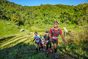 BIB: 2087
                            <button type="button" onclick="openModal(19349901)" class="btn btn-primary btn-sm float-right btn-popup" data-toggle="modal" data-target=".modal-high-quality">
                        <i class="fas fa-shopping-cart"></i> Add to Cart
                    </button>
                                            <button type="button" onclick="isThisMe(19349901, true)" class="btn btn-success btn-sm float-right btn-popup btn-isme hidden" data-toggle="tooltip" data-placement="bottom" title="นี่คือรูปของคุณใช่ไหม คลิกที่นี่เพื่อเอาเข้าอัลบั้ม">
                        <i class="fas fa-plus"></i> Add to album
                    </button>
                    <button type="button" onclick="isThisMe(19349901, false)" class="btn btn-warning btn-sm float-right btn-popup btn-isnotme hidden">
                        <i class="fas fa-ban"></i> Remove from album
                    </button>