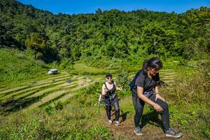 BIB: 
                            <button type="button" onclick="openModal(19345266)" class="btn btn-primary btn-sm float-right btn-popup" data-toggle="modal" data-target=".modal-high-quality">
                        <i class="fas fa-shopping-cart"></i> Add to Cart
                    </button>
                                            <button type="button" onclick="isThisMe(19345266, true)" class="btn btn-success btn-sm float-right btn-popup btn-isme hidden" data-toggle="tooltip" data-placement="bottom" title="นี่คือรูปของคุณใช่ไหม คลิกที่นี่เพื่อเอาเข้าอัลบั้ม">
                        <i class="fas fa-plus"></i> Add to album
                    </button>
                    <button type="button" onclick="isThisMe(19345266, false)" class="btn btn-warning btn-sm float-right btn-popup btn-isnotme hidden">
                        <i class="fas fa-ban"></i> Remove from album
                    </button>