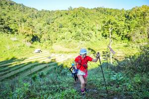 BIB: 
                            <button type="button" onclick="openModal(19348758)" class="btn btn-primary btn-sm float-right btn-popup" data-toggle="modal" data-target=".modal-high-quality">
                        <i class="fas fa-shopping-cart"></i> Add to Cart
                    </button>
                                            <button type="button" onclick="isThisMe(19348758, true)" class="btn btn-success btn-sm float-right btn-popup btn-isme hidden" data-toggle="tooltip" data-placement="bottom" title="นี่คือรูปของคุณใช่ไหม คลิกที่นี่เพื่อเอาเข้าอัลบั้ม">
                        <i class="fas fa-plus"></i> Add to album
                    </button>
                    <button type="button" onclick="isThisMe(19348758, false)" class="btn btn-warning btn-sm float-right btn-popup btn-isnotme hidden">
                        <i class="fas fa-ban"></i> Remove from album
                    </button>