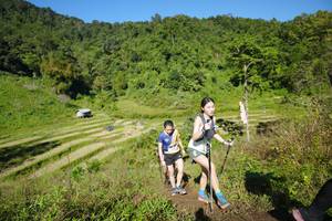 BIB: 
                            <button type="button" onclick="openModal(19072253)" class="btn btn-primary btn-sm float-right btn-popup" data-toggle="modal" data-target=".modal-high-quality">
                        <i class="fas fa-shopping-cart"></i> Add to Cart
                    </button>
                                            <button type="button" onclick="isThisMe(19072253, true)" class="btn btn-success btn-sm float-right btn-popup btn-isme hidden" data-toggle="tooltip" data-placement="bottom" title="นี่คือรูปของคุณใช่ไหม คลิกที่นี่เพื่อเอาเข้าอัลบั้ม">
                        <i class="fas fa-plus"></i> Add to album
                    </button>
                    <button type="button" onclick="isThisMe(19072253, false)" class="btn btn-warning btn-sm float-right btn-popup btn-isnotme hidden">
                        <i class="fas fa-ban"></i> Remove from album
                    </button>