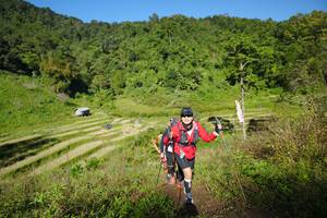 BIB: 
                            <button type="button" onclick="openModal(19102695)" class="btn btn-primary btn-sm float-right btn-popup" data-toggle="modal" data-target=".modal-high-quality">
                        <i class="fas fa-shopping-cart"></i> Add to Cart
                    </button>
                                            <button type="button" onclick="isThisMe(19102695, true)" class="btn btn-success btn-sm float-right btn-popup btn-isme hidden" data-toggle="tooltip" data-placement="bottom" title="นี่คือรูปของคุณใช่ไหม คลิกที่นี่เพื่อเอาเข้าอัลบั้ม">
                        <i class="fas fa-plus"></i> Add to album
                    </button>
                    <button type="button" onclick="isThisMe(19102695, false)" class="btn btn-warning btn-sm float-right btn-popup btn-isnotme hidden">
                        <i class="fas fa-ban"></i> Remove from album
                    </button>