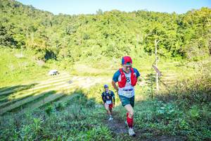 BIB: 2183
                            <button type="button" onclick="openModal(19349036)" class="btn btn-primary btn-sm float-right btn-popup" data-toggle="modal" data-target=".modal-high-quality">
                        <i class="fas fa-shopping-cart"></i> Add to Cart
                    </button>
                                            <button type="button" onclick="isThisMe(19349036, true)" class="btn btn-success btn-sm float-right btn-popup btn-isme hidden" data-toggle="tooltip" data-placement="bottom" title="นี่คือรูปของคุณใช่ไหม คลิกที่นี่เพื่อเอาเข้าอัลบั้ม">
                        <i class="fas fa-plus"></i> Add to album
                    </button>
                    <button type="button" onclick="isThisMe(19349036, false)" class="btn btn-warning btn-sm float-right btn-popup btn-isnotme hidden">
                        <i class="fas fa-ban"></i> Remove from album
                    </button>