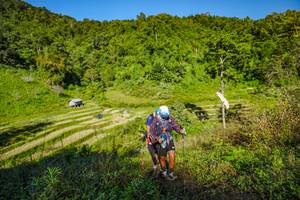 BIB: 
                            <button type="button" onclick="openModal(19350083)" class="btn btn-primary btn-sm float-right btn-popup" data-toggle="modal" data-target=".modal-high-quality">
                        <i class="fas fa-shopping-cart"></i> Add to Cart
                    </button>
                                            <button type="button" onclick="isThisMe(19350083, true)" class="btn btn-success btn-sm float-right btn-popup btn-isme hidden" data-toggle="tooltip" data-placement="bottom" title="นี่คือรูปของคุณใช่ไหม คลิกที่นี่เพื่อเอาเข้าอัลบั้ม">
                        <i class="fas fa-plus"></i> Add to album
                    </button>
                    <button type="button" onclick="isThisMe(19350083, false)" class="btn btn-warning btn-sm float-right btn-popup btn-isnotme hidden">
                        <i class="fas fa-ban"></i> Remove from album
                    </button>