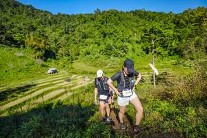 BIB: 2115
                            <button type="button" onclick="openModal(19350184)" class="btn btn-primary btn-sm float-right btn-popup" data-toggle="modal" data-target=".modal-high-quality">
                        <i class="fas fa-shopping-cart"></i> Add to Cart
                    </button>
                                            <button type="button" onclick="isThisMe(19350184, true)" class="btn btn-success btn-sm float-right btn-popup btn-isme hidden" data-toggle="tooltip" data-placement="bottom" title="นี่คือรูปของคุณใช่ไหม คลิกที่นี่เพื่อเอาเข้าอัลบั้ม">
                        <i class="fas fa-plus"></i> Add to album
                    </button>
                    <button type="button" onclick="isThisMe(19350184, false)" class="btn btn-warning btn-sm float-right btn-popup btn-isnotme hidden">
                        <i class="fas fa-ban"></i> Remove from album
                    </button>