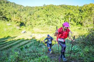 BIB: 
                            <button type="button" onclick="openModal(19348783)" class="btn btn-primary btn-sm float-right btn-popup" data-toggle="modal" data-target=".modal-high-quality">
                        <i class="fas fa-shopping-cart"></i> Add to Cart
                    </button>
                                            <button type="button" onclick="isThisMe(19348783, true)" class="btn btn-success btn-sm float-right btn-popup btn-isme hidden" data-toggle="tooltip" data-placement="bottom" title="นี่คือรูปของคุณใช่ไหม คลิกที่นี่เพื่อเอาเข้าอัลบั้ม">
                        <i class="fas fa-plus"></i> Add to album
                    </button>
                    <button type="button" onclick="isThisMe(19348783, false)" class="btn btn-warning btn-sm float-right btn-popup btn-isnotme hidden">
                        <i class="fas fa-ban"></i> Remove from album
                    </button>