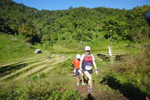 BIB: 
                            <button type="button" onclick="openModal(19107010)" class="btn btn-primary btn-sm float-right btn-popup" data-toggle="modal" data-target=".modal-high-quality">
                        <i class="fas fa-shopping-cart"></i> Add to Cart
                    </button>
                                            <button type="button" onclick="isThisMe(19107010, true)" class="btn btn-success btn-sm float-right btn-popup btn-isme hidden" data-toggle="tooltip" data-placement="bottom" title="นี่คือรูปของคุณใช่ไหม คลิกที่นี่เพื่อเอาเข้าอัลบั้ม">
                        <i class="fas fa-plus"></i> Add to album
                    </button>
                    <button type="button" onclick="isThisMe(19107010, false)" class="btn btn-warning btn-sm float-right btn-popup btn-isnotme hidden">
                        <i class="fas fa-ban"></i> Remove from album
                    </button>