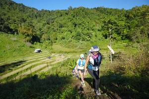 BIB: 
                            <button type="button" onclick="openModal(19095195)" class="btn btn-primary btn-sm float-right btn-popup" data-toggle="modal" data-target=".modal-high-quality">
                        <i class="fas fa-shopping-cart"></i> Add to Cart
                    </button>
                                            <button type="button" onclick="isThisMe(19095195, true)" class="btn btn-success btn-sm float-right btn-popup btn-isme hidden" data-toggle="tooltip" data-placement="bottom" title="นี่คือรูปของคุณใช่ไหม คลิกที่นี่เพื่อเอาเข้าอัลบั้ม">
                        <i class="fas fa-plus"></i> Add to album
                    </button>
                    <button type="button" onclick="isThisMe(19095195, false)" class="btn btn-warning btn-sm float-right btn-popup btn-isnotme hidden">
                        <i class="fas fa-ban"></i> Remove from album
                    </button>