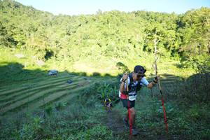 BIB: 
                            <button type="button" onclick="openModal(19068497)" class="btn btn-primary btn-sm float-right btn-popup" data-toggle="modal" data-target=".modal-high-quality">
                        <i class="fas fa-shopping-cart"></i> Add to Cart
                    </button>
                                            <button type="button" onclick="isThisMe(19068497, true)" class="btn btn-success btn-sm float-right btn-popup btn-isme hidden" data-toggle="tooltip" data-placement="bottom" title="นี่คือรูปของคุณใช่ไหม คลิกที่นี่เพื่อเอาเข้าอัลบั้ม">
                        <i class="fas fa-plus"></i> Add to album
                    </button>
                    <button type="button" onclick="isThisMe(19068497, false)" class="btn btn-warning btn-sm float-right btn-popup btn-isnotme hidden">
                        <i class="fas fa-ban"></i> Remove from album
                    </button>