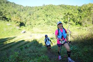 BIB: 
                            <button type="button" onclick="openModal(19083452)" class="btn btn-primary btn-sm float-right btn-popup" data-toggle="modal" data-target=".modal-high-quality">
                        <i class="fas fa-shopping-cart"></i> Add to Cart
                    </button>
                                            <button type="button" onclick="isThisMe(19083452, true)" class="btn btn-success btn-sm float-right btn-popup btn-isme hidden" data-toggle="tooltip" data-placement="bottom" title="นี่คือรูปของคุณใช่ไหม คลิกที่นี่เพื่อเอาเข้าอัลบั้ม">
                        <i class="fas fa-plus"></i> Add to album
                    </button>
                    <button type="button" onclick="isThisMe(19083452, false)" class="btn btn-warning btn-sm float-right btn-popup btn-isnotme hidden">
                        <i class="fas fa-ban"></i> Remove from album
                    </button>