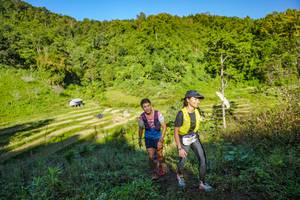 BIB: 
                            <button type="button" onclick="openModal(19349371)" class="btn btn-primary btn-sm float-right btn-popup" data-toggle="modal" data-target=".modal-high-quality">
                        <i class="fas fa-shopping-cart"></i> Add to Cart
                    </button>
                                            <button type="button" onclick="isThisMe(19349371, true)" class="btn btn-success btn-sm float-right btn-popup btn-isme hidden" data-toggle="tooltip" data-placement="bottom" title="นี่คือรูปของคุณใช่ไหม คลิกที่นี่เพื่อเอาเข้าอัลบั้ม">
                        <i class="fas fa-plus"></i> Add to album
                    </button>
                    <button type="button" onclick="isThisMe(19349371, false)" class="btn btn-warning btn-sm float-right btn-popup btn-isnotme hidden">
                        <i class="fas fa-ban"></i> Remove from album
                    </button>