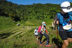 BIB: 2241
                            <button type="button" onclick="openModal(19093704)" class="btn btn-primary btn-sm float-right btn-popup" data-toggle="modal" data-target=".modal-high-quality">
                        <i class="fas fa-shopping-cart"></i> Add to Cart
                    </button>
                                            <button type="button" onclick="isThisMe(19093704, true)" class="btn btn-success btn-sm float-right btn-popup btn-isme hidden" data-toggle="tooltip" data-placement="bottom" title="นี่คือรูปของคุณใช่ไหม คลิกที่นี่เพื่อเอาเข้าอัลบั้ม">
                        <i class="fas fa-plus"></i> Add to album
                    </button>
                    <button type="button" onclick="isThisMe(19093704, false)" class="btn btn-warning btn-sm float-right btn-popup btn-isnotme hidden">
                        <i class="fas fa-ban"></i> Remove from album
                    </button>