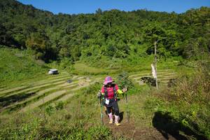 BIB: 
                            <button type="button" onclick="openModal(19086234)" class="btn btn-primary btn-sm float-right btn-popup" data-toggle="modal" data-target=".modal-high-quality">
                        <i class="fas fa-shopping-cart"></i> Add to Cart
                    </button>
                                            <button type="button" onclick="isThisMe(19086234, true)" class="btn btn-success btn-sm float-right btn-popup btn-isme hidden" data-toggle="tooltip" data-placement="bottom" title="นี่คือรูปของคุณใช่ไหม คลิกที่นี่เพื่อเอาเข้าอัลบั้ม">
                        <i class="fas fa-plus"></i> Add to album
                    </button>
                    <button type="button" onclick="isThisMe(19086234, false)" class="btn btn-warning btn-sm float-right btn-popup btn-isnotme hidden">
                        <i class="fas fa-ban"></i> Remove from album
                    </button>