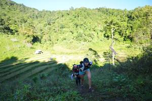 BIB: 
                            <button type="button" onclick="openModal(19078483)" class="btn btn-primary btn-sm float-right btn-popup" data-toggle="modal" data-target=".modal-high-quality">
                        <i class="fas fa-shopping-cart"></i> Add to Cart
                    </button>
                                            <button type="button" onclick="isThisMe(19078483, true)" class="btn btn-success btn-sm float-right btn-popup btn-isme hidden" data-toggle="tooltip" data-placement="bottom" title="นี่คือรูปของคุณใช่ไหม คลิกที่นี่เพื่อเอาเข้าอัลบั้ม">
                        <i class="fas fa-plus"></i> Add to album
                    </button>
                    <button type="button" onclick="isThisMe(19078483, false)" class="btn btn-warning btn-sm float-right btn-popup btn-isnotme hidden">
                        <i class="fas fa-ban"></i> Remove from album
                    </button>