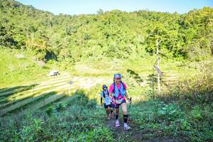 BIB: 
                            <button type="button" onclick="openModal(19349050)" class="btn btn-primary btn-sm float-right btn-popup" data-toggle="modal" data-target=".modal-high-quality">
                        <i class="fas fa-shopping-cart"></i> Add to Cart
                    </button>
                                            <button type="button" onclick="isThisMe(19349050, true)" class="btn btn-success btn-sm float-right btn-popup btn-isme hidden" data-toggle="tooltip" data-placement="bottom" title="นี่คือรูปของคุณใช่ไหม คลิกที่นี่เพื่อเอาเข้าอัลบั้ม">
                        <i class="fas fa-plus"></i> Add to album
                    </button>
                    <button type="button" onclick="isThisMe(19349050, false)" class="btn btn-warning btn-sm float-right btn-popup btn-isnotme hidden">
                        <i class="fas fa-ban"></i> Remove from album
                    </button>