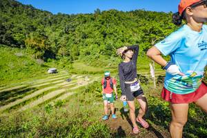 BIB: 201
                            <button type="button" onclick="openModal(19351165)" class="btn btn-primary btn-sm float-right btn-popup" data-toggle="modal" data-target=".modal-high-quality">
                        <i class="fas fa-shopping-cart"></i> Add to Cart
                    </button>
                                            <button type="button" onclick="isThisMe(19351165, true)" class="btn btn-success btn-sm float-right btn-popup btn-isme hidden" data-toggle="tooltip" data-placement="bottom" title="นี่คือรูปของคุณใช่ไหม คลิกที่นี่เพื่อเอาเข้าอัลบั้ม">
                        <i class="fas fa-plus"></i> Add to album
                    </button>
                    <button type="button" onclick="isThisMe(19351165, false)" class="btn btn-warning btn-sm float-right btn-popup btn-isnotme hidden">
                        <i class="fas fa-ban"></i> Remove from album
                    </button>