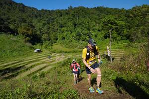 BIB: 
                            <button type="button" onclick="openModal(19089976)" class="btn btn-primary btn-sm float-right btn-popup" data-toggle="modal" data-target=".modal-high-quality">
                        <i class="fas fa-shopping-cart"></i> Add to Cart
                    </button>
                                            <button type="button" onclick="isThisMe(19089976, true)" class="btn btn-success btn-sm float-right btn-popup btn-isme hidden" data-toggle="tooltip" data-placement="bottom" title="นี่คือรูปของคุณใช่ไหม คลิกที่นี่เพื่อเอาเข้าอัลบั้ม">
                        <i class="fas fa-plus"></i> Add to album
                    </button>
                    <button type="button" onclick="isThisMe(19089976, false)" class="btn btn-warning btn-sm float-right btn-popup btn-isnotme hidden">
                        <i class="fas fa-ban"></i> Remove from album
                    </button>