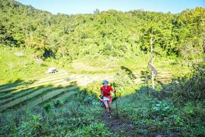 BIB: 
                            <button type="button" onclick="openModal(19348750)" class="btn btn-primary btn-sm float-right btn-popup" data-toggle="modal" data-target=".modal-high-quality">
                        <i class="fas fa-shopping-cart"></i> Add to Cart
                    </button>
                                            <button type="button" onclick="isThisMe(19348750, true)" class="btn btn-success btn-sm float-right btn-popup btn-isme hidden" data-toggle="tooltip" data-placement="bottom" title="นี่คือรูปของคุณใช่ไหม คลิกที่นี่เพื่อเอาเข้าอัลบั้ม">
                        <i class="fas fa-plus"></i> Add to album
                    </button>
                    <button type="button" onclick="isThisMe(19348750, false)" class="btn btn-warning btn-sm float-right btn-popup btn-isnotme hidden">
                        <i class="fas fa-ban"></i> Remove from album
                    </button>