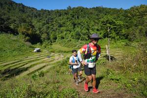 BIB: 258, 
                            <button type="button" onclick="openModal(19099465)" class="btn btn-primary btn-sm float-right btn-popup" data-toggle="modal" data-target=".modal-high-quality">
                        <i class="fas fa-shopping-cart"></i> Add to Cart
                    </button>
                                            <button type="button" onclick="isThisMe(19099465, true)" class="btn btn-success btn-sm float-right btn-popup btn-isme hidden" data-toggle="tooltip" data-placement="bottom" title="นี่คือรูปของคุณใช่ไหม คลิกที่นี่เพื่อเอาเข้าอัลบั้ม">
                        <i class="fas fa-plus"></i> Add to album
                    </button>
                    <button type="button" onclick="isThisMe(19099465, false)" class="btn btn-warning btn-sm float-right btn-popup btn-isnotme hidden">
                        <i class="fas fa-ban"></i> Remove from album
                    </button>