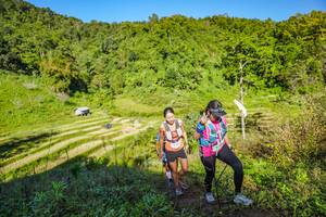 BIB: 
                            <button type="button" onclick="openModal(19349935)" class="btn btn-primary btn-sm float-right btn-popup" data-toggle="modal" data-target=".modal-high-quality">
                        <i class="fas fa-shopping-cart"></i> Add to Cart
                    </button>
                                            <button type="button" onclick="isThisMe(19349935, true)" class="btn btn-success btn-sm float-right btn-popup btn-isme hidden" data-toggle="tooltip" data-placement="bottom" title="นี่คือรูปของคุณใช่ไหม คลิกที่นี่เพื่อเอาเข้าอัลบั้ม">
                        <i class="fas fa-plus"></i> Add to album
                    </button>
                    <button type="button" onclick="isThisMe(19349935, false)" class="btn btn-warning btn-sm float-right btn-popup btn-isnotme hidden">
                        <i class="fas fa-ban"></i> Remove from album
                    </button>