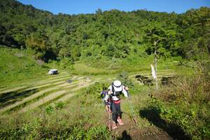 BIB: 
                            <button type="button" onclick="openModal(19106286)" class="btn btn-primary btn-sm float-right btn-popup" data-toggle="modal" data-target=".modal-high-quality">
                        <i class="fas fa-shopping-cart"></i> Add to Cart
                    </button>
                                            <button type="button" onclick="isThisMe(19106286, true)" class="btn btn-success btn-sm float-right btn-popup btn-isme hidden" data-toggle="tooltip" data-placement="bottom" title="นี่คือรูปของคุณใช่ไหม คลิกที่นี่เพื่อเอาเข้าอัลบั้ม">
                        <i class="fas fa-plus"></i> Add to album
                    </button>
                    <button type="button" onclick="isThisMe(19106286, false)" class="btn btn-warning btn-sm float-right btn-popup btn-isnotme hidden">
                        <i class="fas fa-ban"></i> Remove from album
                    </button>