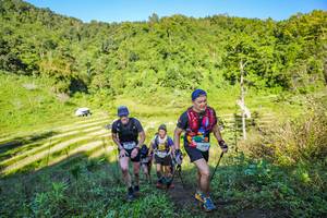 BIB: 
                            <button type="button" onclick="openModal(19349648)" class="btn btn-primary btn-sm float-right btn-popup" data-toggle="modal" data-target=".modal-high-quality">
                        <i class="fas fa-shopping-cart"></i> Add to Cart
                    </button>
                                            <button type="button" onclick="isThisMe(19349648, true)" class="btn btn-success btn-sm float-right btn-popup btn-isme hidden" data-toggle="tooltip" data-placement="bottom" title="นี่คือรูปของคุณใช่ไหม คลิกที่นี่เพื่อเอาเข้าอัลบั้ม">
                        <i class="fas fa-plus"></i> Add to album
                    </button>
                    <button type="button" onclick="isThisMe(19349648, false)" class="btn btn-warning btn-sm float-right btn-popup btn-isnotme hidden">
                        <i class="fas fa-ban"></i> Remove from album
                    </button>