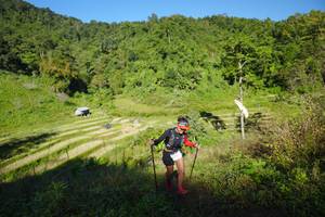 BIB: 
                            <button type="button" onclick="openModal(19091775)" class="btn btn-primary btn-sm float-right btn-popup" data-toggle="modal" data-target=".modal-high-quality">
                        <i class="fas fa-shopping-cart"></i> Add to Cart
                    </button>
                                            <button type="button" onclick="isThisMe(19091775, true)" class="btn btn-success btn-sm float-right btn-popup btn-isme hidden" data-toggle="tooltip" data-placement="bottom" title="นี่คือรูปของคุณใช่ไหม คลิกที่นี่เพื่อเอาเข้าอัลบั้ม">
                        <i class="fas fa-plus"></i> Add to album
                    </button>
                    <button type="button" onclick="isThisMe(19091775, false)" class="btn btn-warning btn-sm float-right btn-popup btn-isnotme hidden">
                        <i class="fas fa-ban"></i> Remove from album
                    </button>