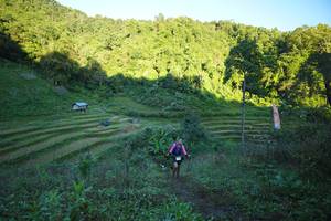 BIB: 
                            <button type="button" onclick="openModal(19064856)" class="btn btn-primary btn-sm float-right btn-popup" data-toggle="modal" data-target=".modal-high-quality">
                        <i class="fas fa-shopping-cart"></i> Add to Cart
                    </button>
                                            <button type="button" onclick="isThisMe(19064856, true)" class="btn btn-success btn-sm float-right btn-popup btn-isme hidden" data-toggle="tooltip" data-placement="bottom" title="นี่คือรูปของคุณใช่ไหม คลิกที่นี่เพื่อเอาเข้าอัลบั้ม">
                        <i class="fas fa-plus"></i> Add to album
                    </button>
                    <button type="button" onclick="isThisMe(19064856, false)" class="btn btn-warning btn-sm float-right btn-popup btn-isnotme hidden">
                        <i class="fas fa-ban"></i> Remove from album
                    </button>