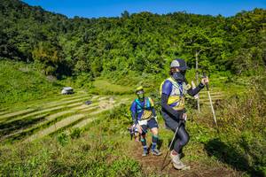 BIB: 
                            <button type="button" onclick="openModal(19344007)" class="btn btn-primary btn-sm float-right btn-popup" data-toggle="modal" data-target=".modal-high-quality">
                        <i class="fas fa-shopping-cart"></i> Add to Cart
                    </button>
                                            <button type="button" onclick="isThisMe(19344007, true)" class="btn btn-success btn-sm float-right btn-popup btn-isme hidden" data-toggle="tooltip" data-placement="bottom" title="นี่คือรูปของคุณใช่ไหม คลิกที่นี่เพื่อเอาเข้าอัลบั้ม">
                        <i class="fas fa-plus"></i> Add to album
                    </button>
                    <button type="button" onclick="isThisMe(19344007, false)" class="btn btn-warning btn-sm float-right btn-popup btn-isnotme hidden">
                        <i class="fas fa-ban"></i> Remove from album
                    </button>