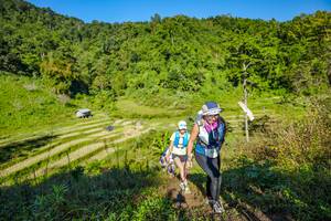 BIB: 
                            <button type="button" onclick="openModal(19350319)" class="btn btn-primary btn-sm float-right btn-popup" data-toggle="modal" data-target=".modal-high-quality">
                        <i class="fas fa-shopping-cart"></i> Add to Cart
                    </button>
                                            <button type="button" onclick="isThisMe(19350319, true)" class="btn btn-success btn-sm float-right btn-popup btn-isme hidden" data-toggle="tooltip" data-placement="bottom" title="นี่คือรูปของคุณใช่ไหม คลิกที่นี่เพื่อเอาเข้าอัลบั้ม">
                        <i class="fas fa-plus"></i> Add to album
                    </button>
                    <button type="button" onclick="isThisMe(19350319, false)" class="btn btn-warning btn-sm float-right btn-popup btn-isnotme hidden">
                        <i class="fas fa-ban"></i> Remove from album
                    </button>