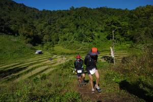 BIB: 
                            <button type="button" onclick="openModal(19084145)" class="btn btn-primary btn-sm float-right btn-popup" data-toggle="modal" data-target=".modal-high-quality">
                        <i class="fas fa-shopping-cart"></i> Add to Cart
                    </button>
                                            <button type="button" onclick="isThisMe(19084145, true)" class="btn btn-success btn-sm float-right btn-popup btn-isme hidden" data-toggle="tooltip" data-placement="bottom" title="นี่คือรูปของคุณใช่ไหม คลิกที่นี่เพื่อเอาเข้าอัลบั้ม">
                        <i class="fas fa-plus"></i> Add to album
                    </button>
                    <button type="button" onclick="isThisMe(19084145, false)" class="btn btn-warning btn-sm float-right btn-popup btn-isnotme hidden">
                        <i class="fas fa-ban"></i> Remove from album
                    </button>