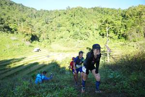 BIB: 
                            <button type="button" onclick="openModal(19083172)" class="btn btn-primary btn-sm float-right btn-popup" data-toggle="modal" data-target=".modal-high-quality">
                        <i class="fas fa-shopping-cart"></i> Add to Cart
                    </button>
                                            <button type="button" onclick="isThisMe(19083172, true)" class="btn btn-success btn-sm float-right btn-popup btn-isme hidden" data-toggle="tooltip" data-placement="bottom" title="นี่คือรูปของคุณใช่ไหม คลิกที่นี่เพื่อเอาเข้าอัลบั้ม">
                        <i class="fas fa-plus"></i> Add to album
                    </button>
                    <button type="button" onclick="isThisMe(19083172, false)" class="btn btn-warning btn-sm float-right btn-popup btn-isnotme hidden">
                        <i class="fas fa-ban"></i> Remove from album
                    </button>