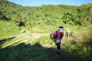 BIB: 
                            <button type="button" onclick="openModal(19087821)" class="btn btn-primary btn-sm float-right btn-popup" data-toggle="modal" data-target=".modal-high-quality">
                        <i class="fas fa-shopping-cart"></i> Add to Cart
                    </button>
                                            <button type="button" onclick="isThisMe(19087821, true)" class="btn btn-success btn-sm float-right btn-popup btn-isme hidden" data-toggle="tooltip" data-placement="bottom" title="นี่คือรูปของคุณใช่ไหม คลิกที่นี่เพื่อเอาเข้าอัลบั้ม">
                        <i class="fas fa-plus"></i> Add to album
                    </button>
                    <button type="button" onclick="isThisMe(19087821, false)" class="btn btn-warning btn-sm float-right btn-popup btn-isnotme hidden">
                        <i class="fas fa-ban"></i> Remove from album
                    </button>