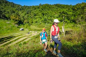 BIB: 
                            <button type="button" onclick="openModal(19351049)" class="btn btn-primary btn-sm float-right btn-popup" data-toggle="modal" data-target=".modal-high-quality">
                        <i class="fas fa-shopping-cart"></i> Add to Cart
                    </button>
                                            <button type="button" onclick="isThisMe(19351049, true)" class="btn btn-success btn-sm float-right btn-popup btn-isme hidden" data-toggle="tooltip" data-placement="bottom" title="นี่คือรูปของคุณใช่ไหม คลิกที่นี่เพื่อเอาเข้าอัลบั้ม">
                        <i class="fas fa-plus"></i> Add to album
                    </button>
                    <button type="button" onclick="isThisMe(19351049, false)" class="btn btn-warning btn-sm float-right btn-popup btn-isnotme hidden">
                        <i class="fas fa-ban"></i> Remove from album
                    </button>