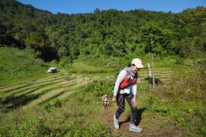 BIB: 
                            <button type="button" onclick="openModal(19099706)" class="btn btn-primary btn-sm float-right btn-popup" data-toggle="modal" data-target=".modal-high-quality">
                        <i class="fas fa-shopping-cart"></i> Add to Cart
                    </button>
                                            <button type="button" onclick="isThisMe(19099706, true)" class="btn btn-success btn-sm float-right btn-popup btn-isme hidden" data-toggle="tooltip" data-placement="bottom" title="นี่คือรูปของคุณใช่ไหม คลิกที่นี่เพื่อเอาเข้าอัลบั้ม">
                        <i class="fas fa-plus"></i> Add to album
                    </button>
                    <button type="button" onclick="isThisMe(19099706, false)" class="btn btn-warning btn-sm float-right btn-popup btn-isnotme hidden">
                        <i class="fas fa-ban"></i> Remove from album
                    </button>