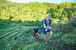 BIB: 
                            <button type="button" onclick="openModal(19347187)" class="btn btn-primary btn-sm float-right btn-popup" data-toggle="modal" data-target=".modal-high-quality">
                        <i class="fas fa-shopping-cart"></i> Add to Cart
                    </button>
                                            <button type="button" onclick="isThisMe(19347187, true)" class="btn btn-success btn-sm float-right btn-popup btn-isme hidden" data-toggle="tooltip" data-placement="bottom" title="นี่คือรูปของคุณใช่ไหม คลิกที่นี่เพื่อเอาเข้าอัลบั้ม">
                        <i class="fas fa-plus"></i> Add to album
                    </button>
                    <button type="button" onclick="isThisMe(19347187, false)" class="btn btn-warning btn-sm float-right btn-popup btn-isnotme hidden">
                        <i class="fas fa-ban"></i> Remove from album
                    </button>