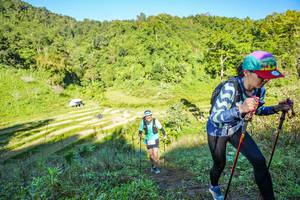 BIB: 
                            <button type="button" onclick="openModal(19349327)" class="btn btn-primary btn-sm float-right btn-popup" data-toggle="modal" data-target=".modal-high-quality">
                        <i class="fas fa-shopping-cart"></i> Add to Cart
                    </button>
                                            <button type="button" onclick="isThisMe(19349327, true)" class="btn btn-success btn-sm float-right btn-popup btn-isme hidden" data-toggle="tooltip" data-placement="bottom" title="นี่คือรูปของคุณใช่ไหม คลิกที่นี่เพื่อเอาเข้าอัลบั้ม">
                        <i class="fas fa-plus"></i> Add to album
                    </button>
                    <button type="button" onclick="isThisMe(19349327, false)" class="btn btn-warning btn-sm float-right btn-popup btn-isnotme hidden">
                        <i class="fas fa-ban"></i> Remove from album
                    </button>