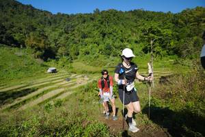 BIB: 
                            <button type="button" onclick="openModal(19074338)" class="btn btn-primary btn-sm float-right btn-popup" data-toggle="modal" data-target=".modal-high-quality">
                        <i class="fas fa-shopping-cart"></i> Add to Cart
                    </button>
                                            <button type="button" onclick="isThisMe(19074338, true)" class="btn btn-success btn-sm float-right btn-popup btn-isme hidden" data-toggle="tooltip" data-placement="bottom" title="นี่คือรูปของคุณใช่ไหม คลิกที่นี่เพื่อเอาเข้าอัลบั้ม">
                        <i class="fas fa-plus"></i> Add to album
                    </button>
                    <button type="button" onclick="isThisMe(19074338, false)" class="btn btn-warning btn-sm float-right btn-popup btn-isnotme hidden">
                        <i class="fas fa-ban"></i> Remove from album
                    </button>