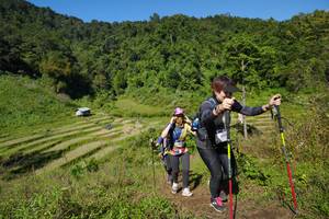 BIB: 1929
                            <button type="button" onclick="openModal(19100085)" class="btn btn-primary btn-sm float-right btn-popup" data-toggle="modal" data-target=".modal-high-quality">
                        <i class="fas fa-shopping-cart"></i> Add to Cart
                    </button>
                                            <button type="button" onclick="isThisMe(19100085, true)" class="btn btn-success btn-sm float-right btn-popup btn-isme hidden" data-toggle="tooltip" data-placement="bottom" title="นี่คือรูปของคุณใช่ไหม คลิกที่นี่เพื่อเอาเข้าอัลบั้ม">
                        <i class="fas fa-plus"></i> Add to album
                    </button>
                    <button type="button" onclick="isThisMe(19100085, false)" class="btn btn-warning btn-sm float-right btn-popup btn-isnotme hidden">
                        <i class="fas fa-ban"></i> Remove from album
                    </button>