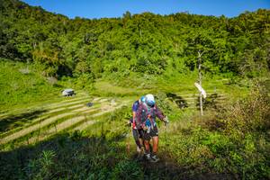 BIB: 
                            <button type="button" onclick="openModal(19350084)" class="btn btn-primary btn-sm float-right btn-popup" data-toggle="modal" data-target=".modal-high-quality">
                        <i class="fas fa-shopping-cart"></i> Add to Cart
                    </button>
                                            <button type="button" onclick="isThisMe(19350084, true)" class="btn btn-success btn-sm float-right btn-popup btn-isme hidden" data-toggle="tooltip" data-placement="bottom" title="นี่คือรูปของคุณใช่ไหม คลิกที่นี่เพื่อเอาเข้าอัลบั้ม">
                        <i class="fas fa-plus"></i> Add to album
                    </button>
                    <button type="button" onclick="isThisMe(19350084, false)" class="btn btn-warning btn-sm float-right btn-popup btn-isnotme hidden">
                        <i class="fas fa-ban"></i> Remove from album
                    </button>