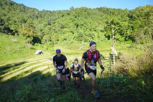 BIB: 
                            <button type="button" onclick="openModal(19087984)" class="btn btn-primary btn-sm float-right btn-popup" data-toggle="modal" data-target=".modal-high-quality">
                        <i class="fas fa-shopping-cart"></i> Add to Cart
                    </button>
                                            <button type="button" onclick="isThisMe(19087984, true)" class="btn btn-success btn-sm float-right btn-popup btn-isme hidden" data-toggle="tooltip" data-placement="bottom" title="นี่คือรูปของคุณใช่ไหม คลิกที่นี่เพื่อเอาเข้าอัลบั้ม">
                        <i class="fas fa-plus"></i> Add to album
                    </button>
                    <button type="button" onclick="isThisMe(19087984, false)" class="btn btn-warning btn-sm float-right btn-popup btn-isnotme hidden">
                        <i class="fas fa-ban"></i> Remove from album
                    </button>