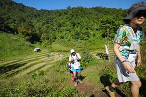 BIB: 
                            <button type="button" onclick="openModal(19081770)" class="btn btn-primary btn-sm float-right btn-popup" data-toggle="modal" data-target=".modal-high-quality">
                        <i class="fas fa-shopping-cart"></i> Add to Cart
                    </button>
                                            <button type="button" onclick="isThisMe(19081770, true)" class="btn btn-success btn-sm float-right btn-popup btn-isme hidden" data-toggle="tooltip" data-placement="bottom" title="นี่คือรูปของคุณใช่ไหม คลิกที่นี่เพื่อเอาเข้าอัลบั้ม">
                        <i class="fas fa-plus"></i> Add to album
                    </button>
                    <button type="button" onclick="isThisMe(19081770, false)" class="btn btn-warning btn-sm float-right btn-popup btn-isnotme hidden">
                        <i class="fas fa-ban"></i> Remove from album
                    </button>