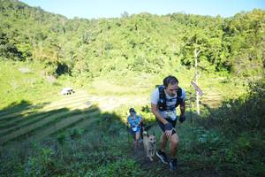 BIB: 
                            <button type="button" onclick="openModal(19079646)" class="btn btn-primary btn-sm float-right btn-popup" data-toggle="modal" data-target=".modal-high-quality">
                        <i class="fas fa-shopping-cart"></i> Add to Cart
                    </button>
                                            <button type="button" onclick="isThisMe(19079646, true)" class="btn btn-success btn-sm float-right btn-popup btn-isme hidden" data-toggle="tooltip" data-placement="bottom" title="นี่คือรูปของคุณใช่ไหม คลิกที่นี่เพื่อเอาเข้าอัลบั้ม">
                        <i class="fas fa-plus"></i> Add to album
                    </button>
                    <button type="button" onclick="isThisMe(19079646, false)" class="btn btn-warning btn-sm float-right btn-popup btn-isnotme hidden">
                        <i class="fas fa-ban"></i> Remove from album
                    </button>