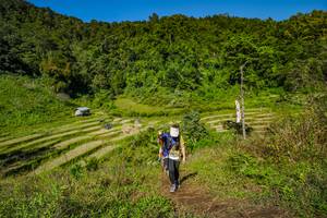 BIB: 
                            <button type="button" onclick="openModal(19344426)" class="btn btn-primary btn-sm float-right btn-popup" data-toggle="modal" data-target=".modal-high-quality">
                        <i class="fas fa-shopping-cart"></i> Add to Cart
                    </button>
                                            <button type="button" onclick="isThisMe(19344426, true)" class="btn btn-success btn-sm float-right btn-popup btn-isme hidden" data-toggle="tooltip" data-placement="bottom" title="นี่คือรูปของคุณใช่ไหม คลิกที่นี่เพื่อเอาเข้าอัลบั้ม">
                        <i class="fas fa-plus"></i> Add to album
                    </button>
                    <button type="button" onclick="isThisMe(19344426, false)" class="btn btn-warning btn-sm float-right btn-popup btn-isnotme hidden">
                        <i class="fas fa-ban"></i> Remove from album
                    </button>